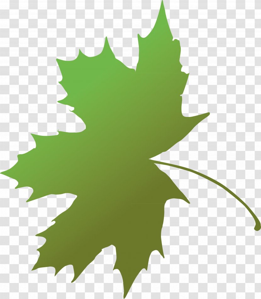 Maple Leaf Green Grape Leaves Plant Stem - Metal Transparent PNG