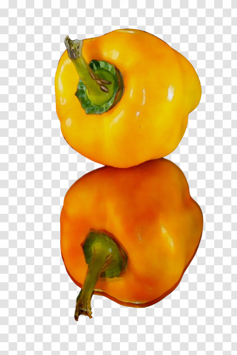 Yellow Pepper Habanero Pimiento Peppers Natural Foods Transparent PNG