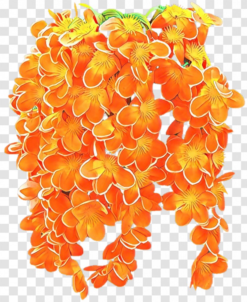 Flowers Background - Drawing - Plant Orange Transparent PNG