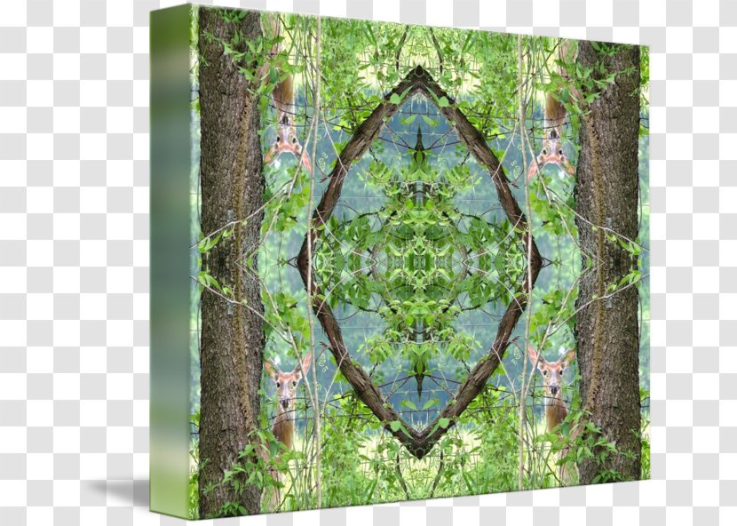 Symmetry Pattern - Flora - Pxe8re Davids Deer Transparent PNG