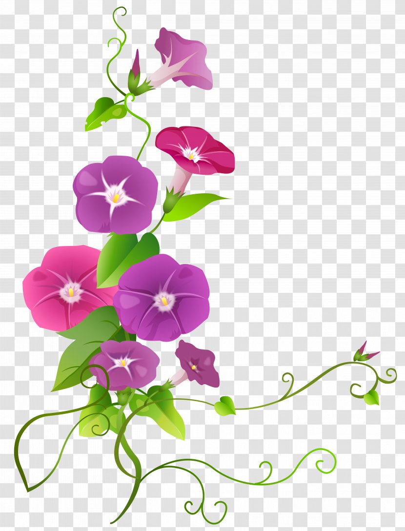 Clip Art - Flower Arranging - Ipomoea Transparent Image Transparent PNG