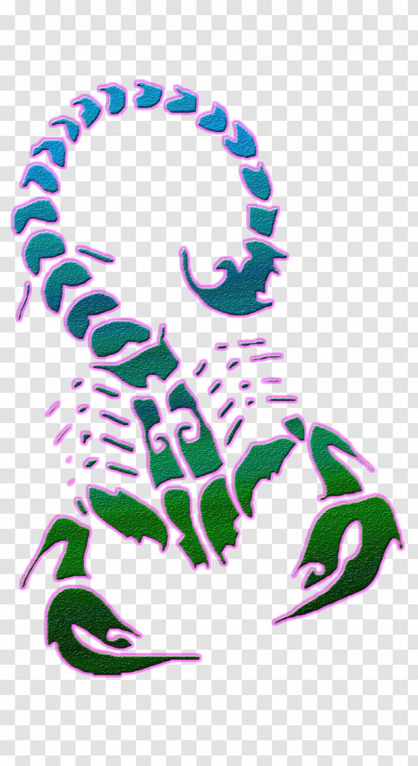 Scorpion Tattoo Clip Art - Organism Transparent PNG