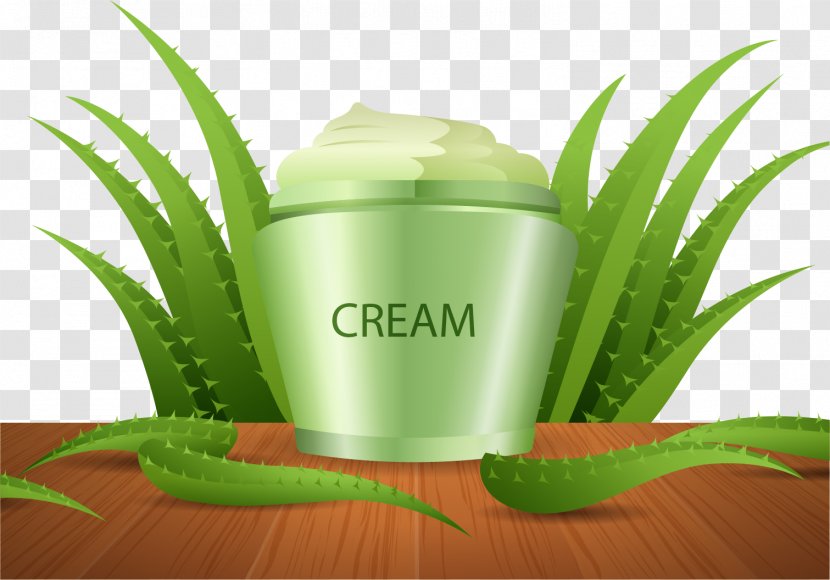 Aloe Vera Cream Agave Skin - Grass - Vector Hand Painted Transparent PNG