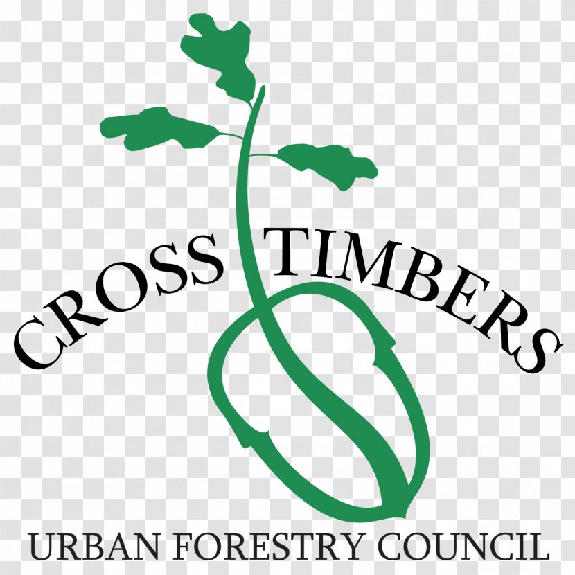 Cross Timbers Urban Forestry Lumber Arboriculture - Flora - Timber Transparent PNG