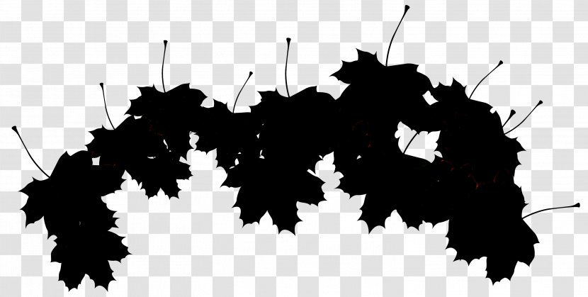 Leaf Text Font Black-and-white Sky - Tree - Monochrome Photography Branch Transparent PNG