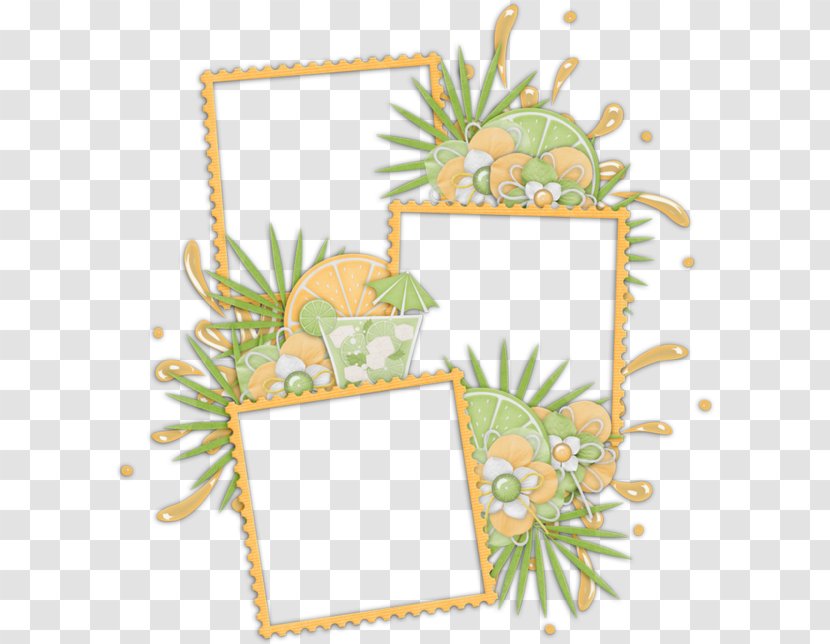 Picture Frames Photography The Arts - Tendresse Transparent PNG