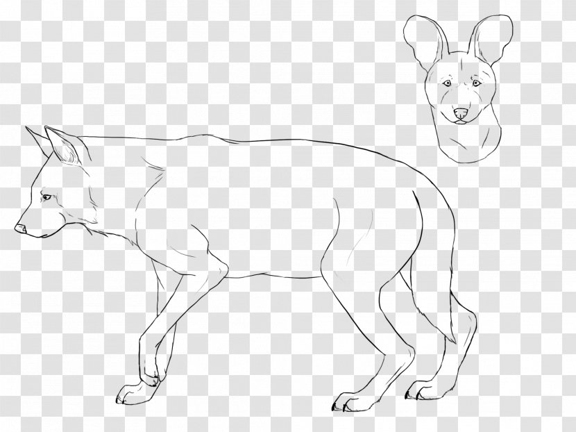 Dog Breed Red Fox Hare Whiskers - Tail Transparent PNG