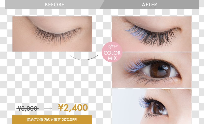 Eyelash Extensions Japanese Yen プロケアアイラッシュ まつ毛エクステンション - Cosmetics - Eyelashes Transparent PNG