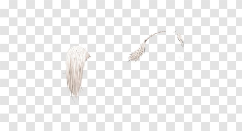White Feather Neck - Arabian Horse Transparent PNG