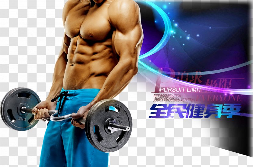 Physical Exercise Biceps Curl Dumbbell Barbell - Flower - Fitness Posters Transparent PNG