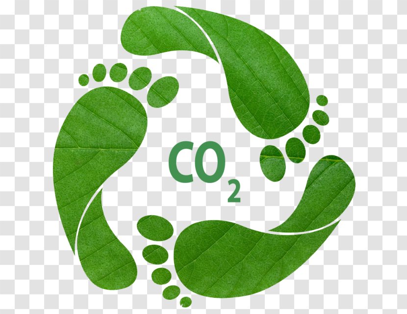 Earth Overshoot Day Ecological Footprint Carbon Ecology - Natural Environment Transparent PNG
