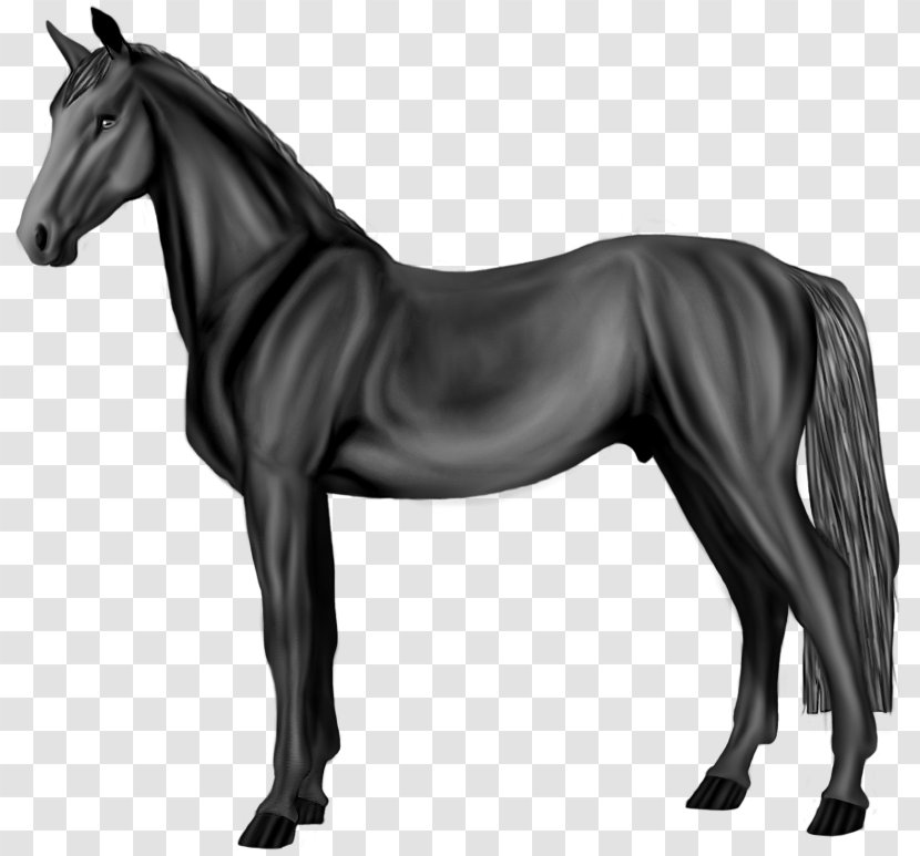 Mane Akhal-Teke Pony Mustang Grayscale - Horse Tack Transparent PNG