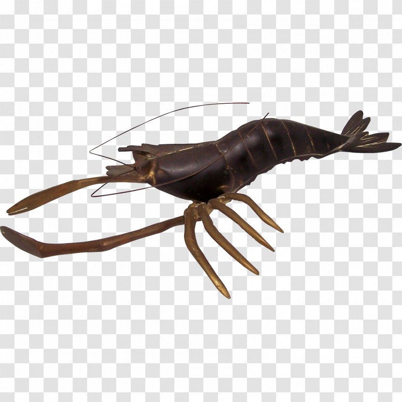 Insect Animal Source Foods Decapoda Invertebrate Arthropod - Lobster Transparent PNG
