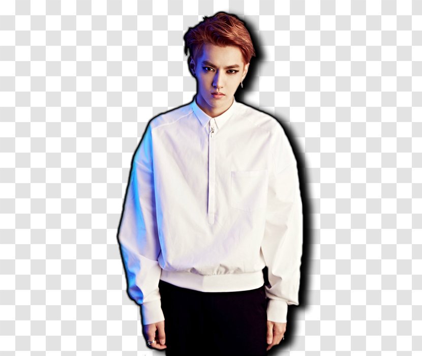 EXO Overdose HISTORY SM Town S.M. Entertainment - Flower - Silhouette Transparent PNG