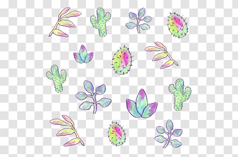 Succulent Plant Cactaceae Floral Design Drawing - Flower Transparent PNG
