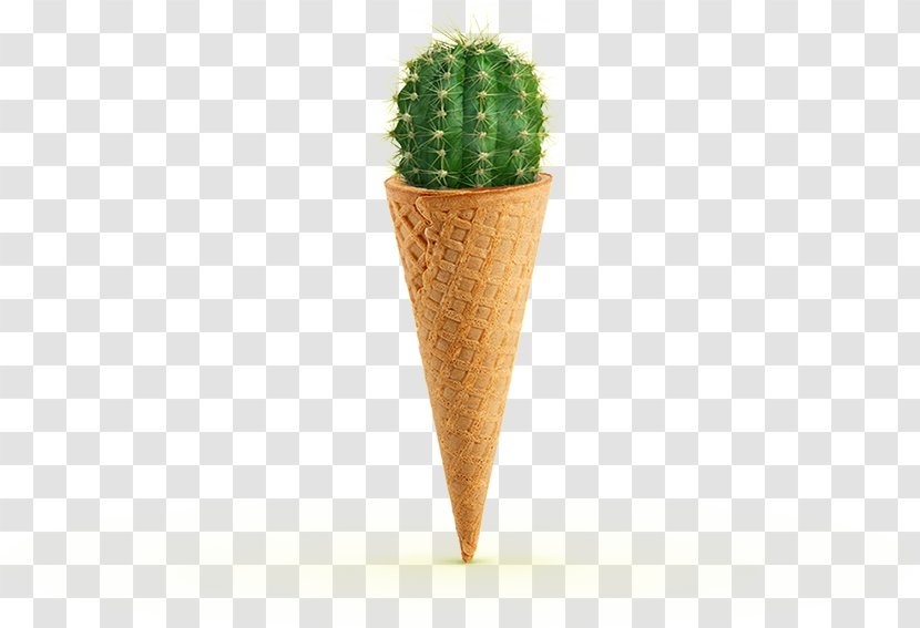 Ice Cream Cone - Food - Prickly Pear Transparent PNG