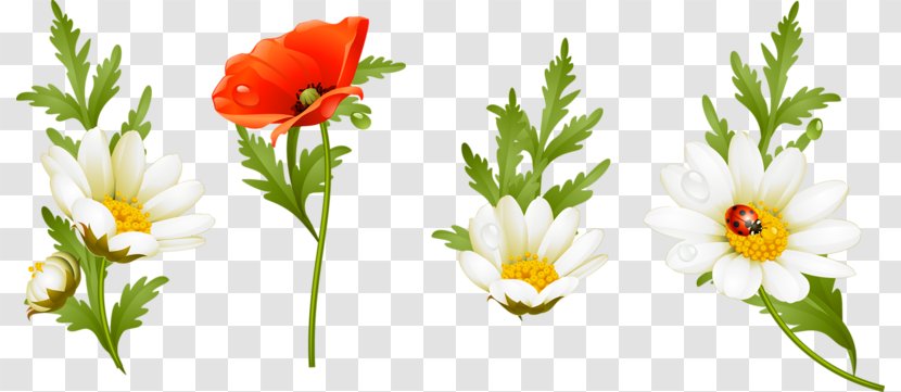 Floral Design Flower Lossless Compression - Arranging Transparent PNG