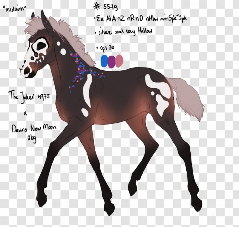 Mustang Pony Stallion Foal Colt - Drawing - Phantom Of The Opera Transparent PNG