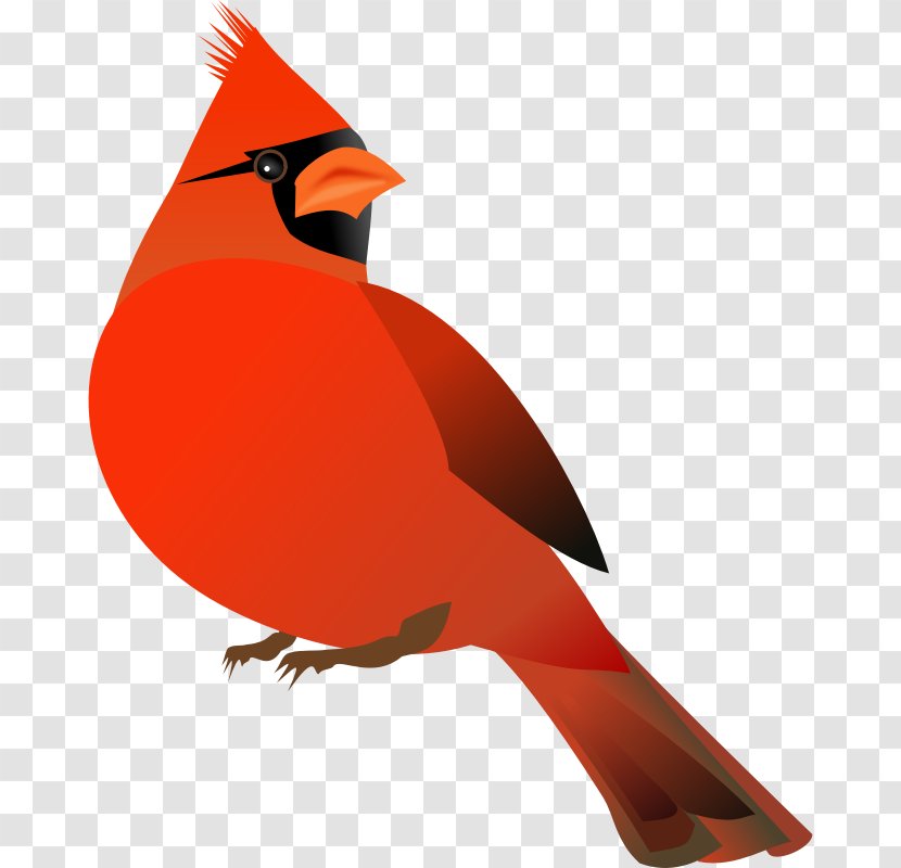 Northern Cardinal Free Content Website Clip Art - Bird - Sad Cliparts Transparent PNG