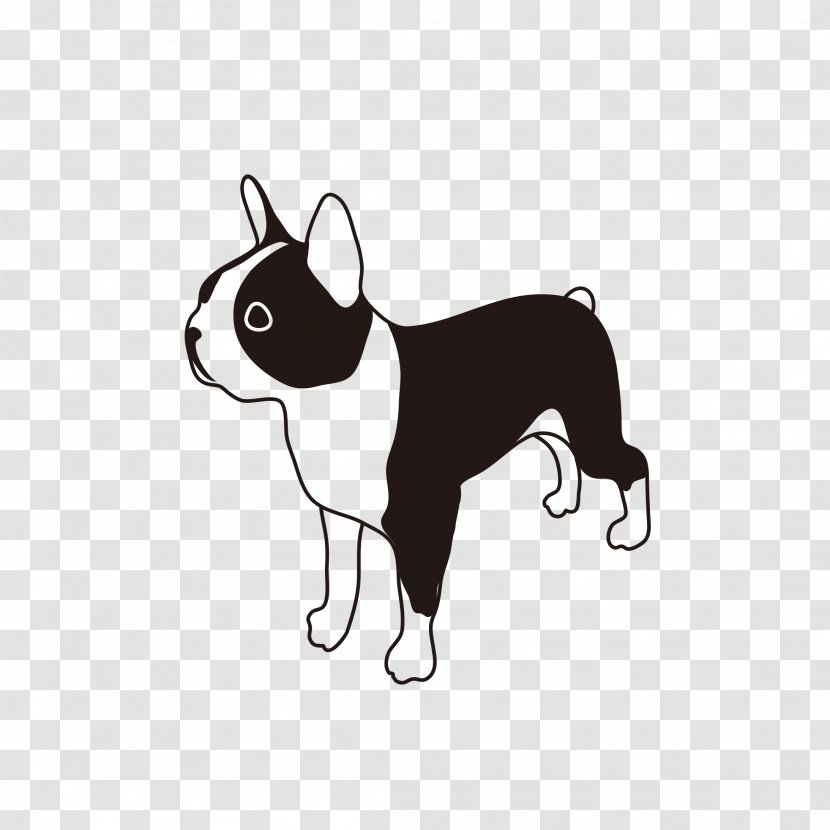 Boston Terrier Puppy Dog Breed French Bulldog - Carnivoran Transparent PNG
