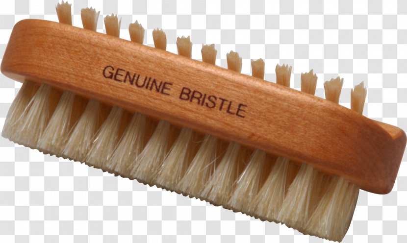 Makeup Brush Drawing Broom - Brushes - Electric Kid Tooth Transparent PNG