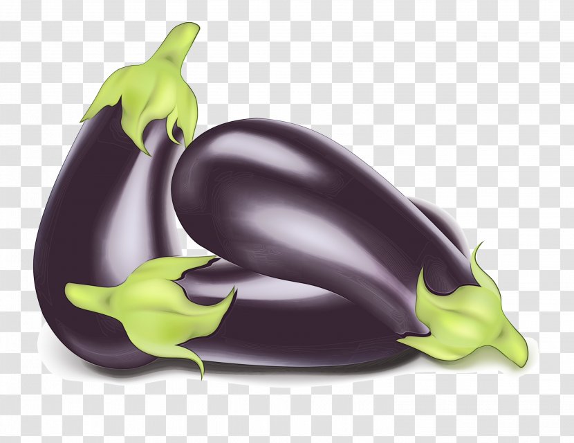 Watercolor Plant - Legume - Nightshade Family Transparent PNG