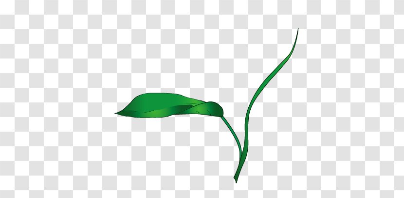 Leaf Pattern - Grass Transparent PNG