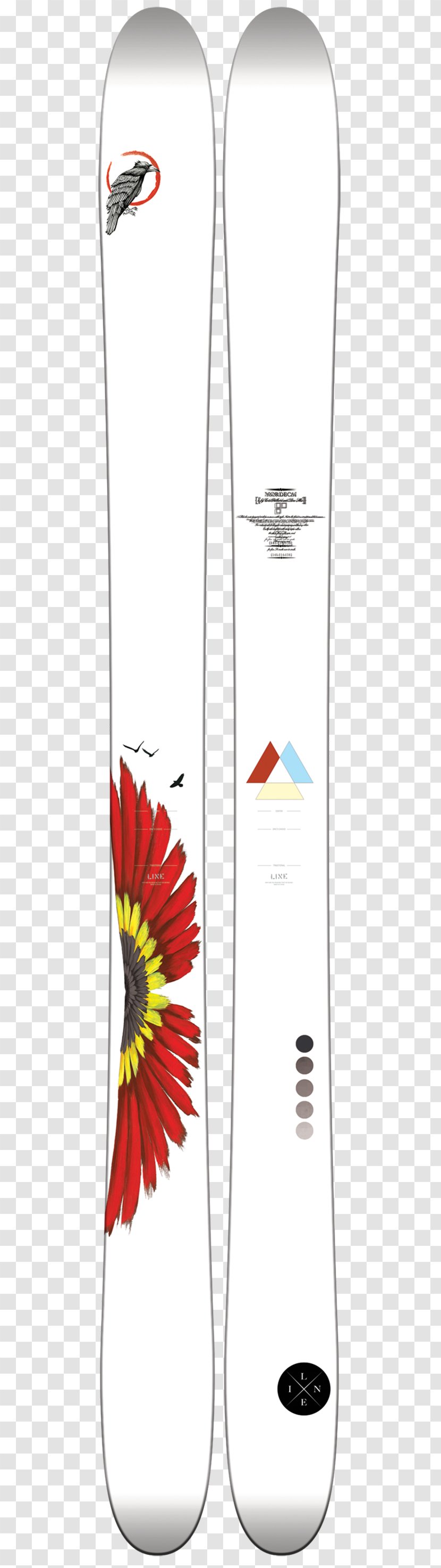 Fall Line Skis Skiing Sporting Goods - Piste Transparent PNG