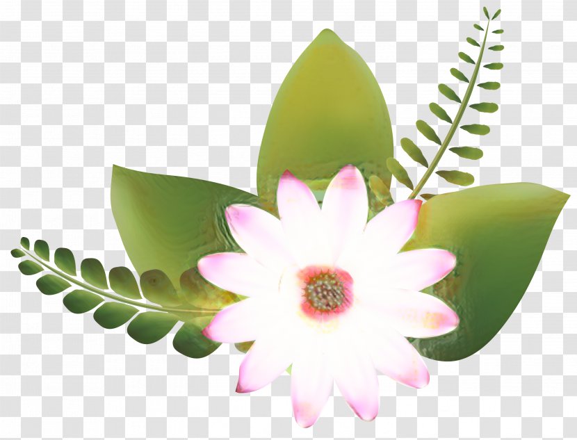 Flower Line Art - Artificial - Wildflower Houseplant Transparent PNG
