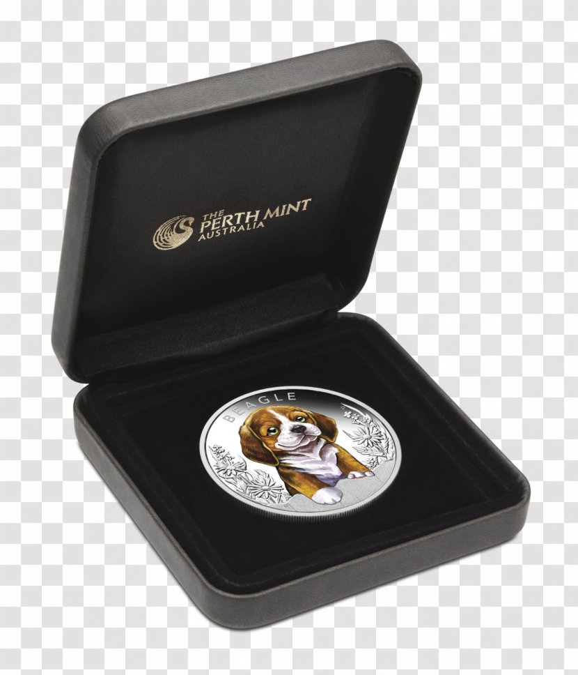 Beagle Perth Mint Border Collie Rough Puppy Transparent PNG