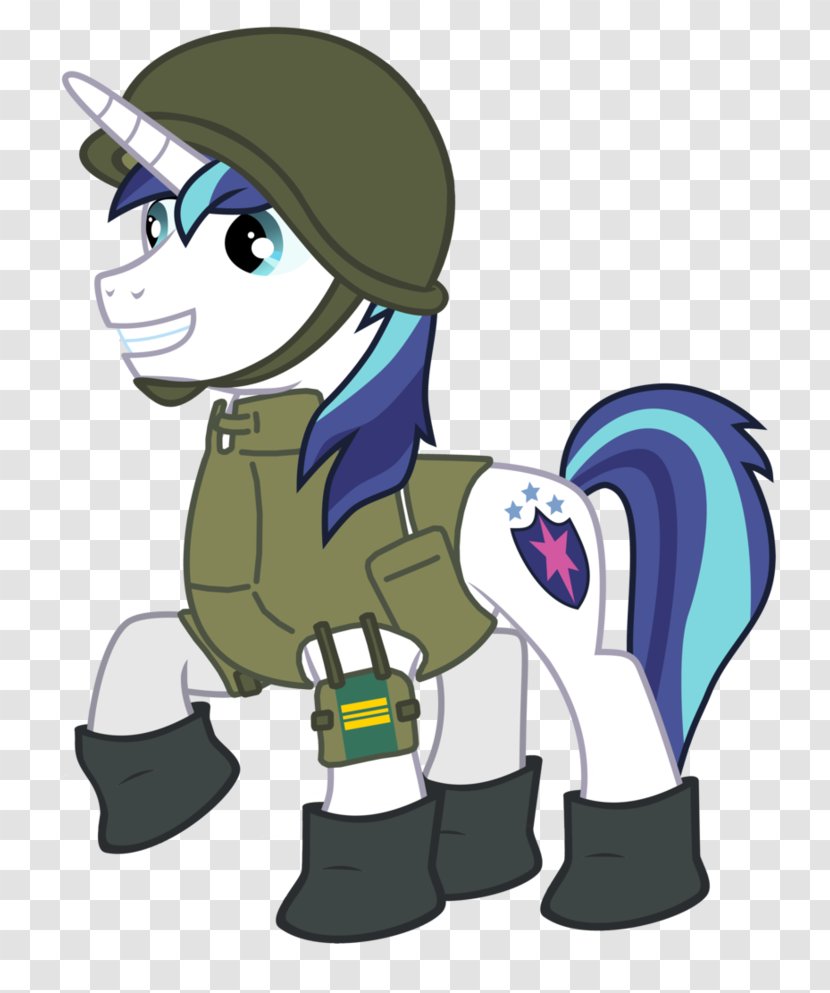 Pony Shining Armor Princess Cadance Twilight Sparkle Military - Finnish Army - Armour Transparent PNG