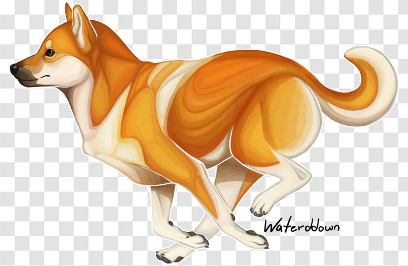 Dog Breed Shiba Inu Red Fox Puppy Transparent PNG