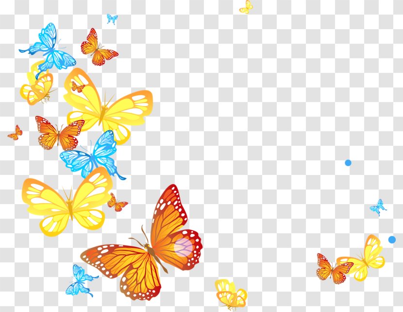 Butterfly Clip Art - Pollinator - Papillon Transparent PNG
