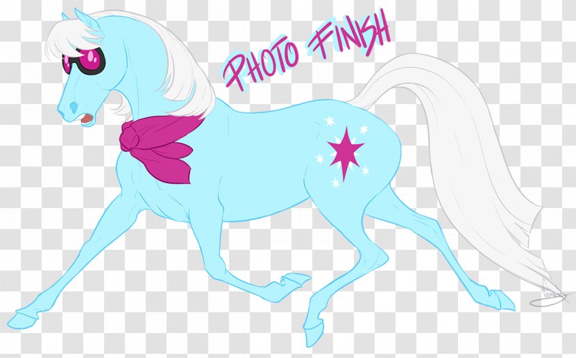 Pony Mustang Mane Photography - Heart Transparent PNG