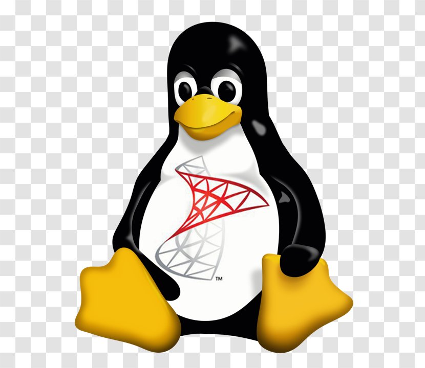 Tux Racer Linux Kernel Penguin - Larry Ewing Transparent PNG