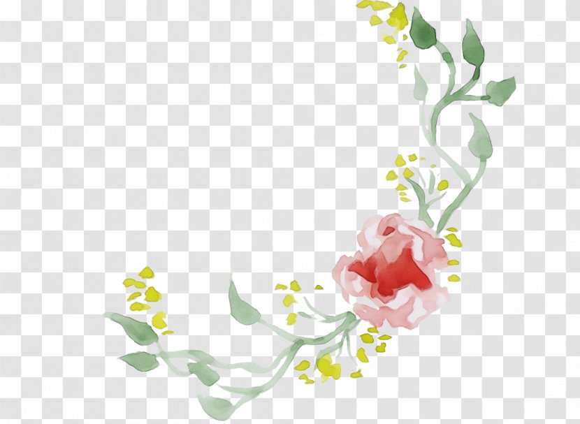 Watercolor Floral Background - Design - Plant Stem Blossom Transparent PNG