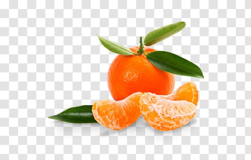 Mandarin Orange Tangerine Clementine Satsuma Grapefruit - Bitter - Jar Transparent PNG