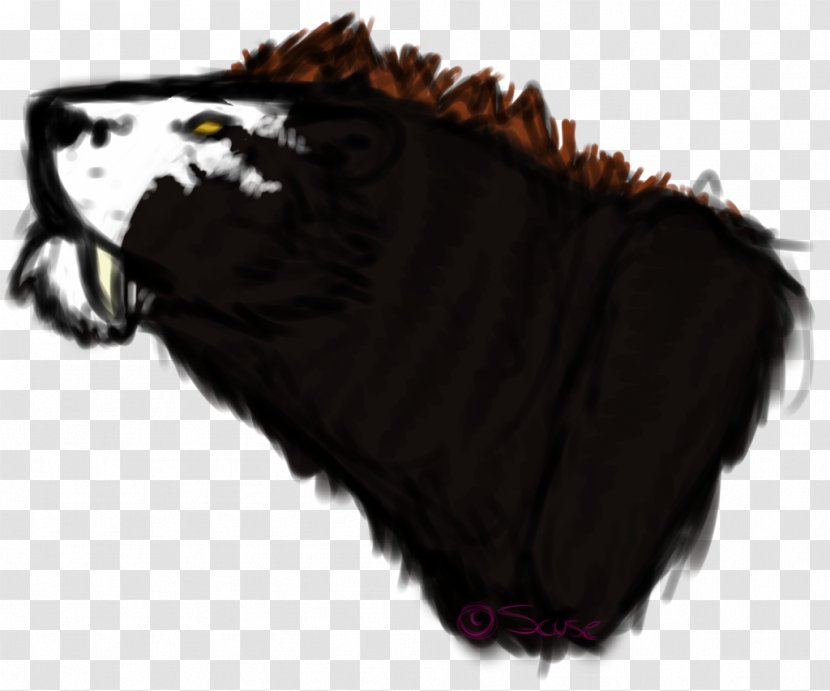 Snout Fur Carnivora - Thwack Transparent PNG