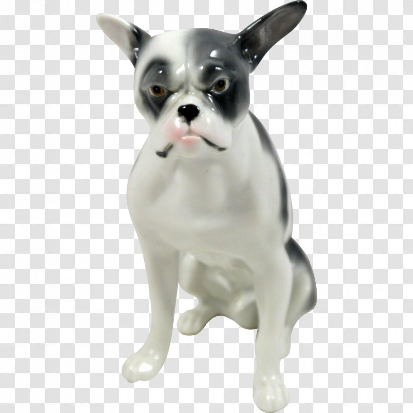 Boston Terrier French Bulldog Dog Breed Companion - Like Mammal - Non Sporting Group Transparent PNG