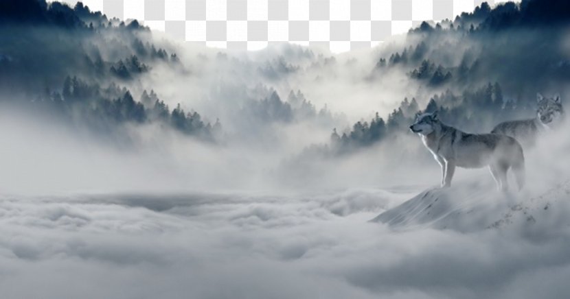 Arctic Wolf Nature Cloud Sky Wallpaper - Snow - Valley Transparent PNG