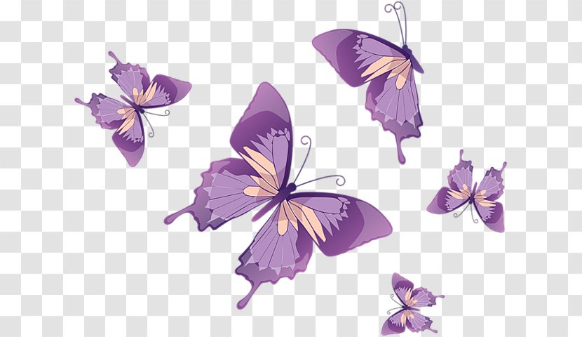 Butterfly Vector Graphics Clip Art Stock Photography Image - Royaltyfree Transparent PNG