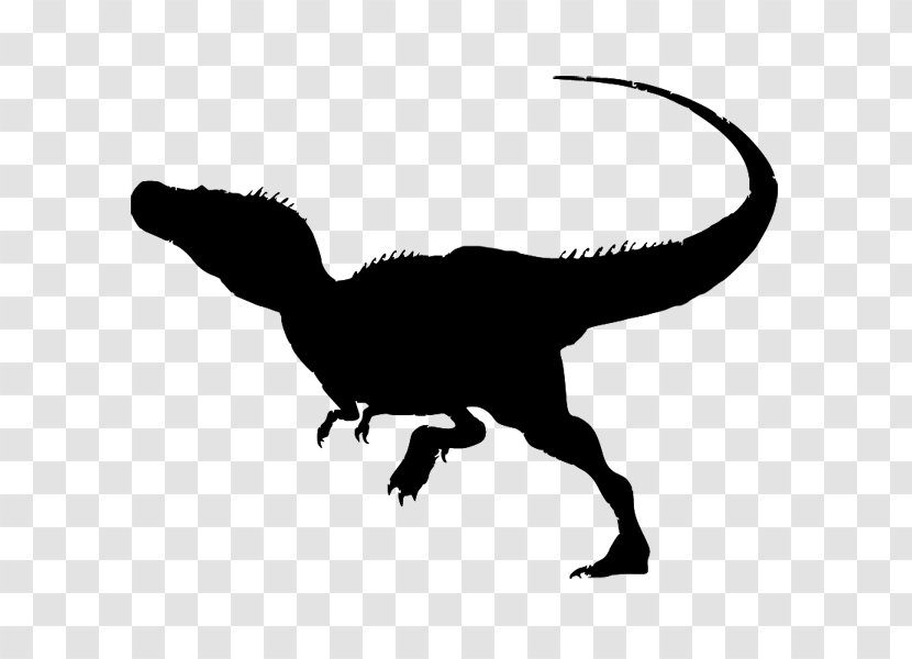 Tyrannosaurus Velociraptor Vector Graphics Dinosaur T-shirt - Birthday - Decal Transparent PNG