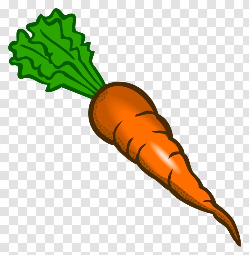 Carrot Food Vegetable Clip Art - Artwork - Drawing Transparent PNG