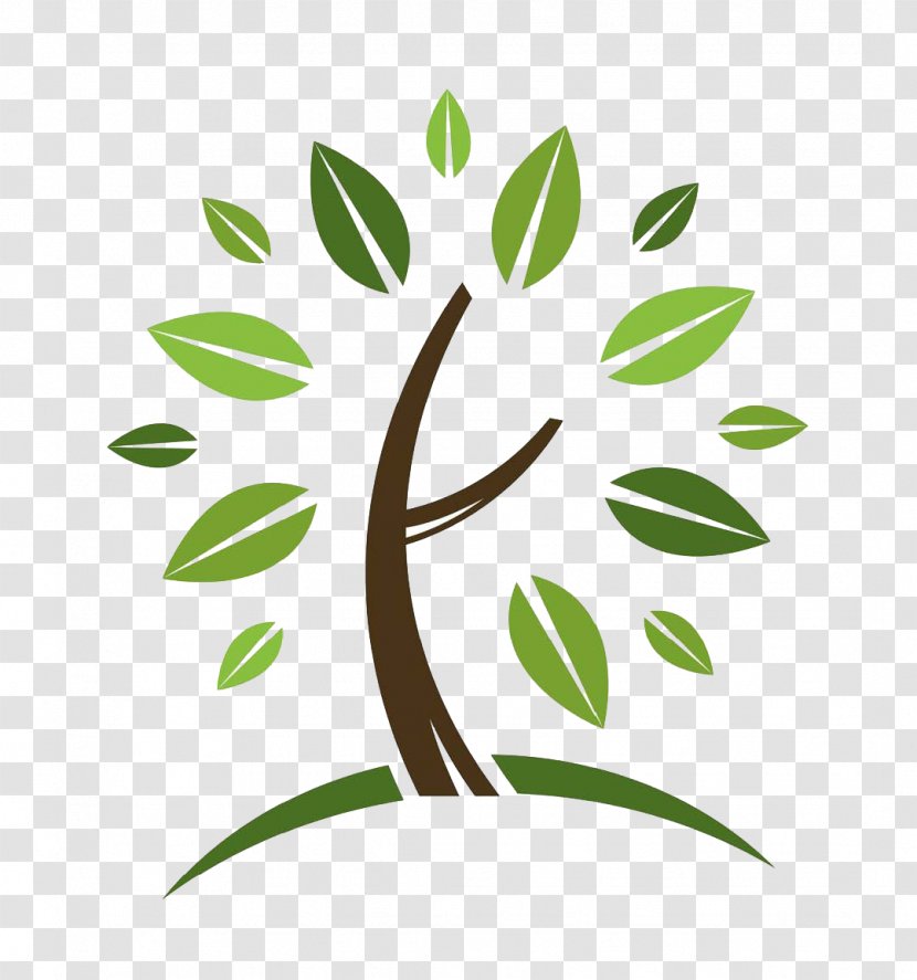Tree Logo Business - Flower Transparent PNG