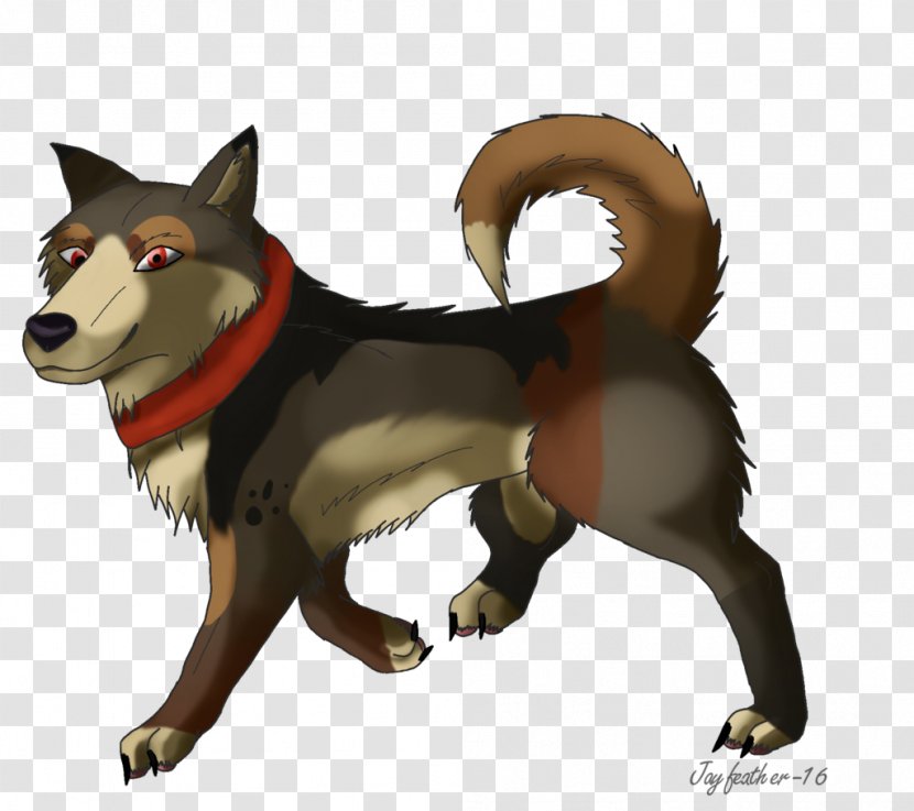 Shikoku Wolfdog Dog Breed Red Wolf Snout - Jaws And Claws Transparent PNG