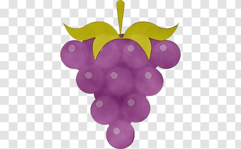 Grape Purple Violet Grapevine Family Vitis Transparent PNG