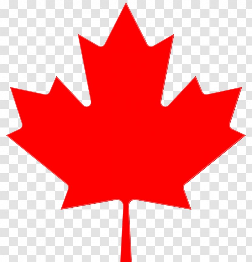 Canada Maple Leaf - Tree - Plane Symbol Transparent PNG