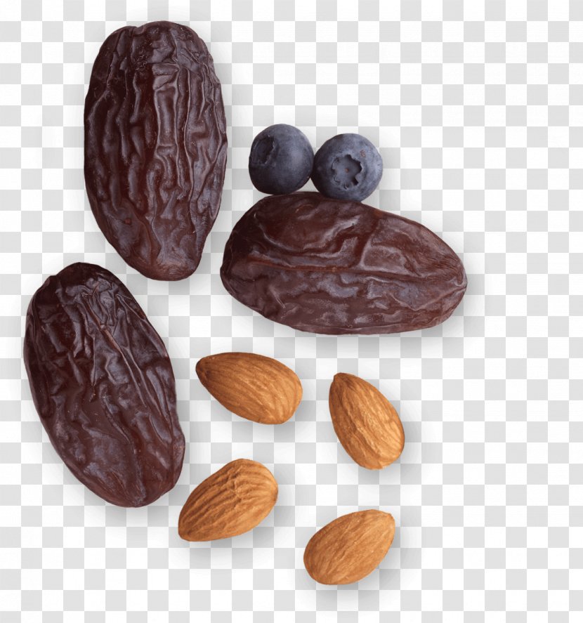 Commodity Cocoa Bean Cacao Tree - Nut - Liquids Transparent PNG