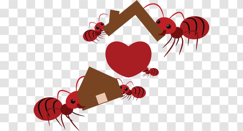 Ant Teamwork Euclidean Vector Illustration - Heart - Ants Move Houses Transparent PNG