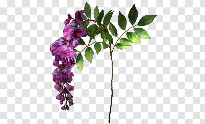 Flower Blue Violet Mauve Purple - Flora Transparent PNG